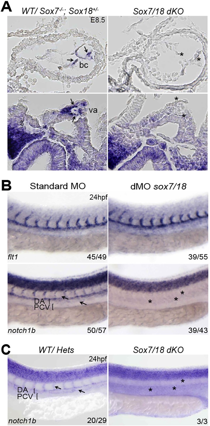 Fig. 9.