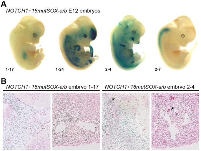 Fig. 4.