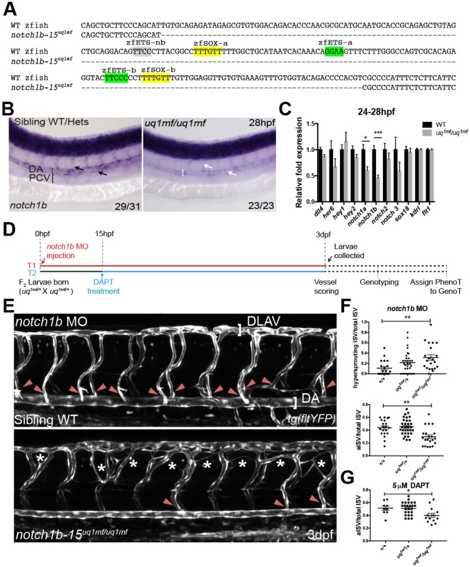 Fig. 8.