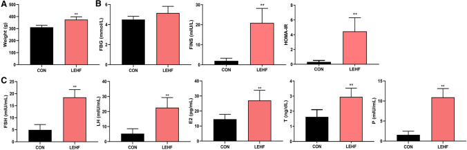 Fig.2