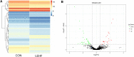 Fig.3