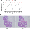 Fig.1