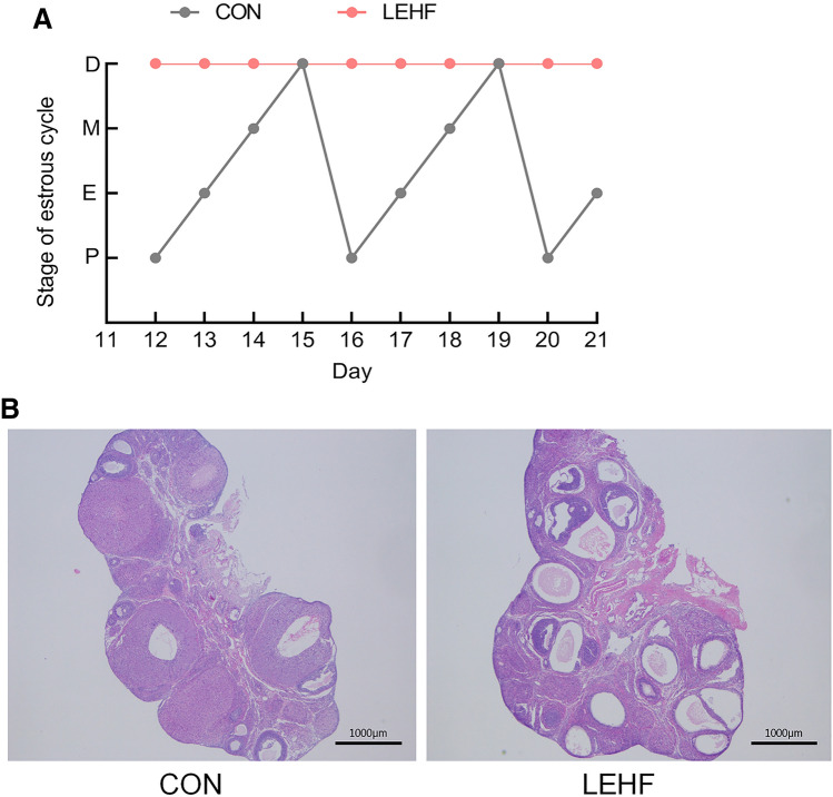 Fig.1