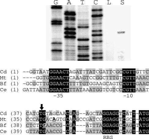 FIG. 6.