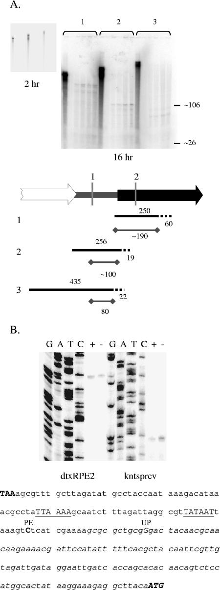 FIG. 5.