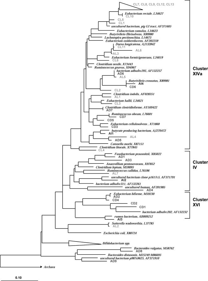 FIG. 7.