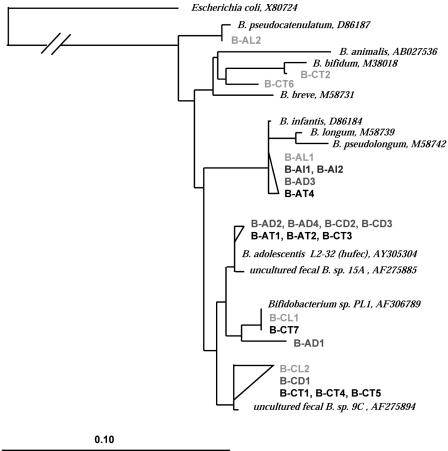 FIG. 8.