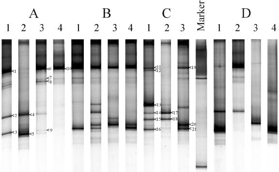 FIG. 6.