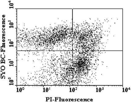 FIG. 1.