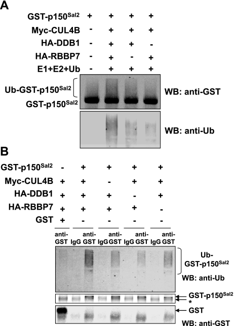 Figure 7.