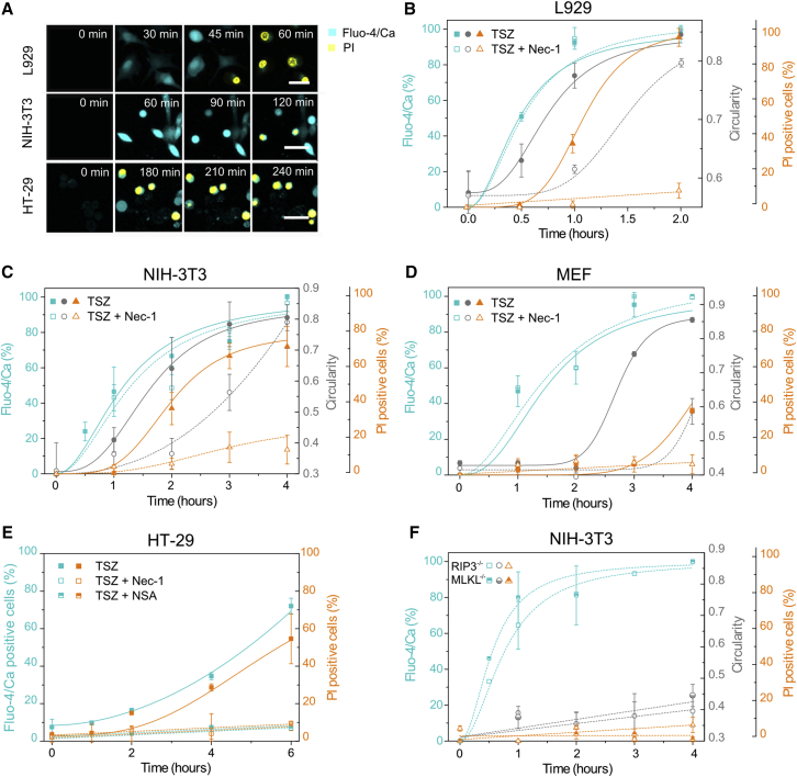 Figure 1