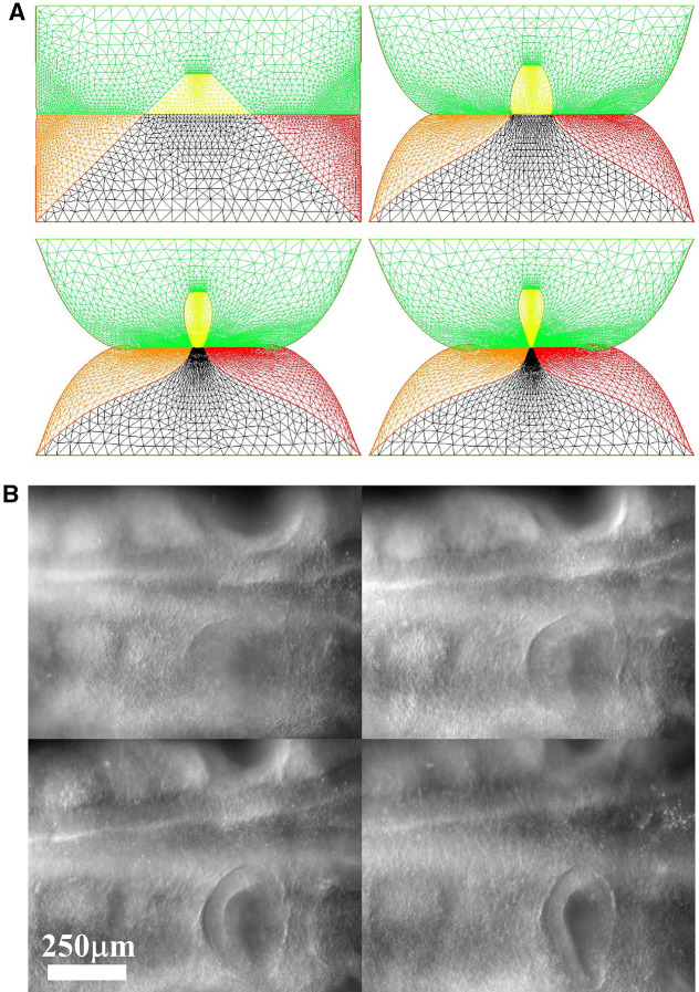 Fig. 8