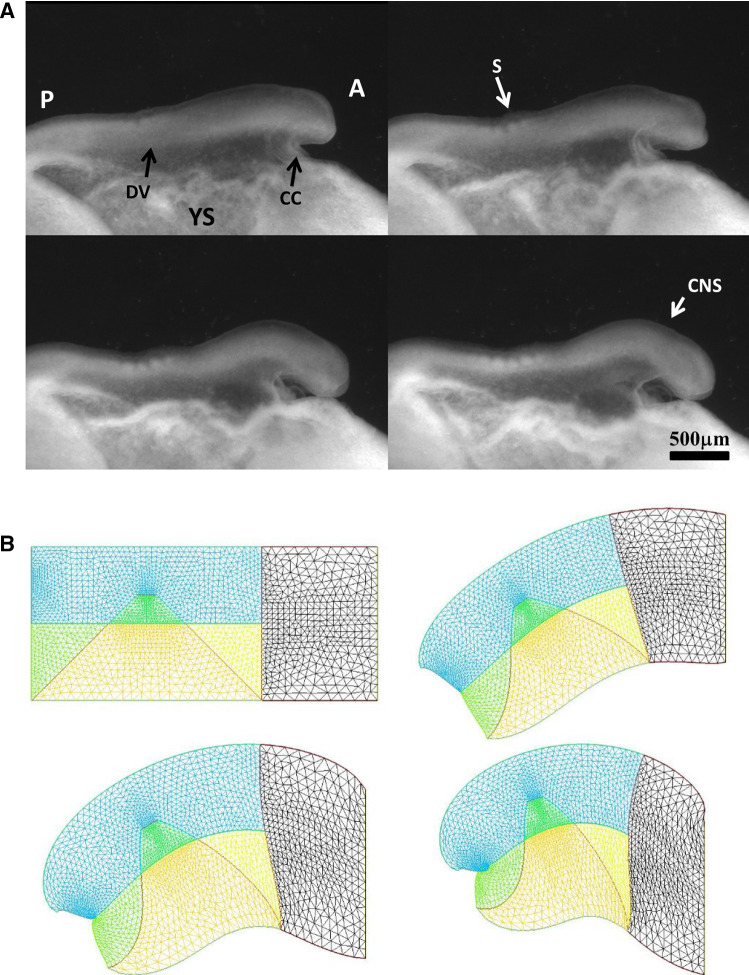 Fig. 10