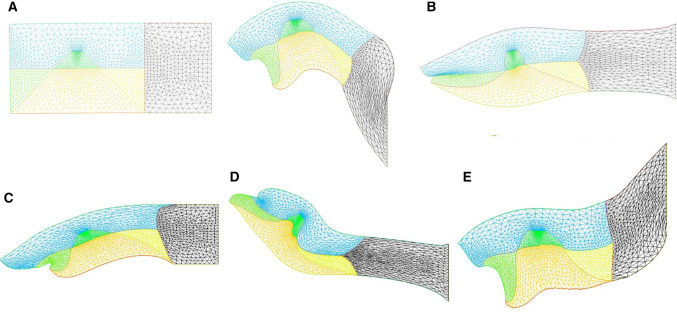 Fig. 12