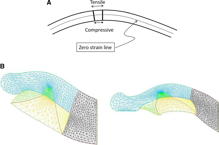 Fig. 13