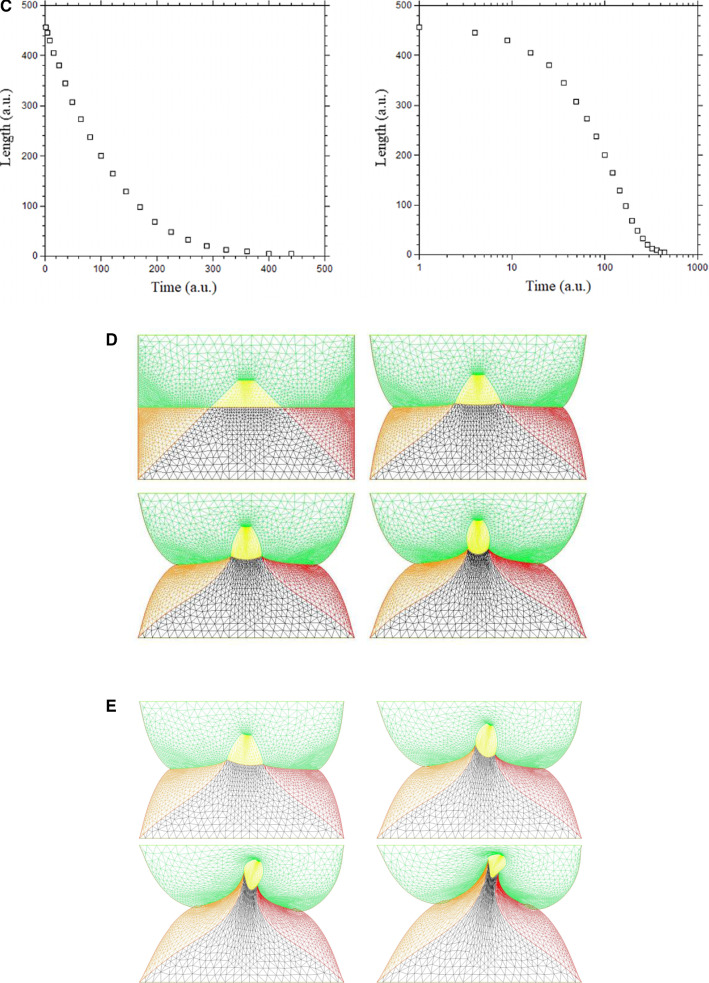 graphic file with name 10189_2022_184_Fig8b_HTML.jpg