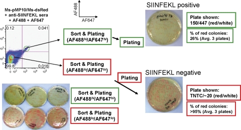 FIG. 4.