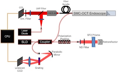 Fig. 1