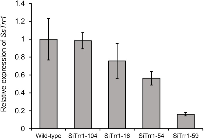 FIGURE 4