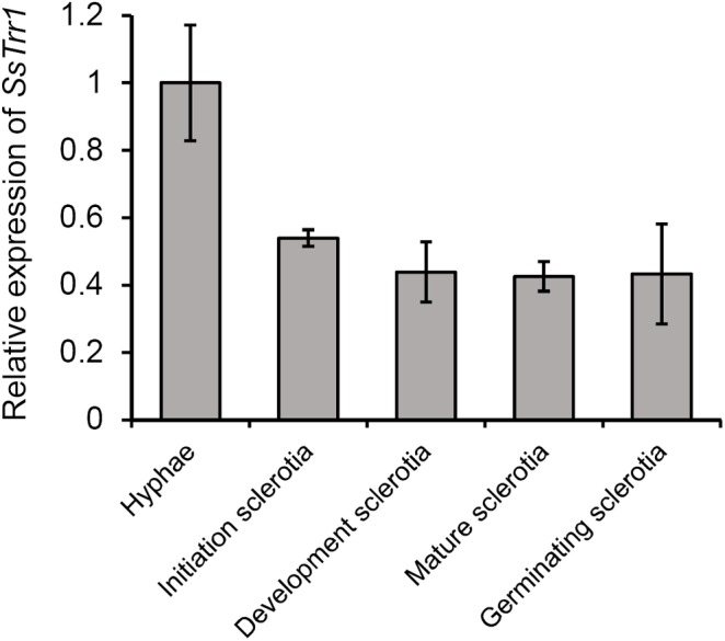 FIGURE 3