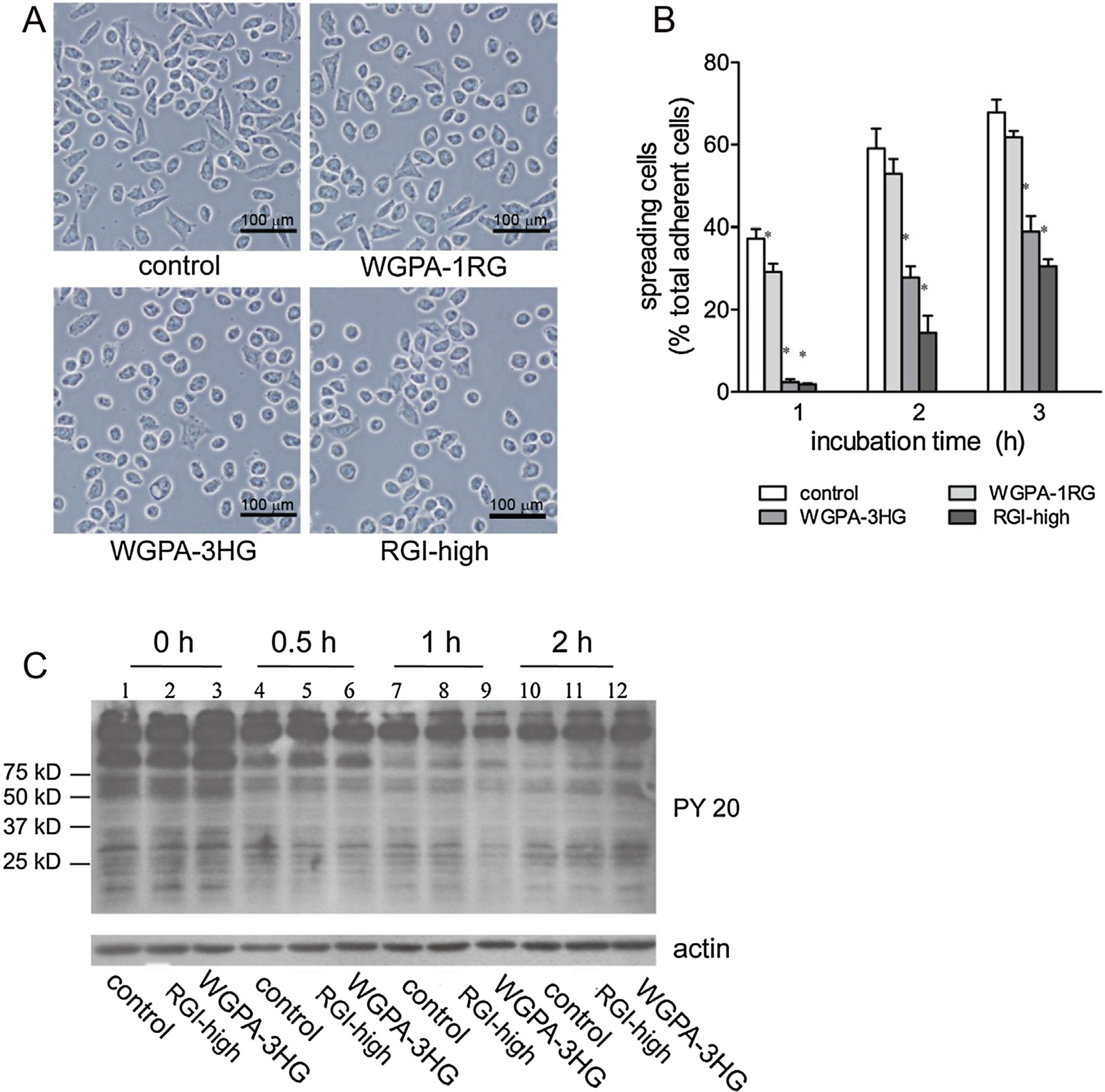 Fig. 8.