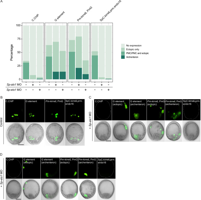 Figure 7—figure supplement 4.