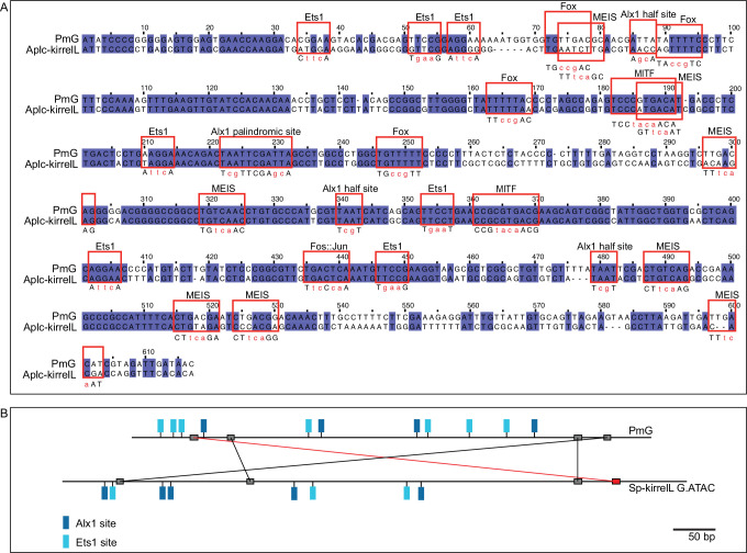 Figure 7—figure supplement 3.