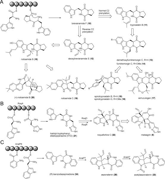 Scheme 3