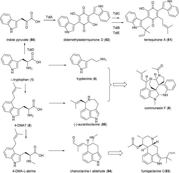 Scheme 7