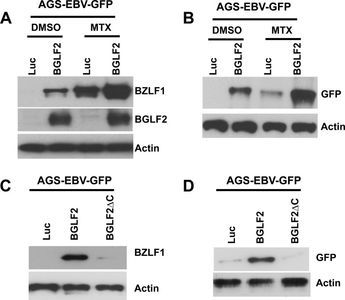 FIG 6