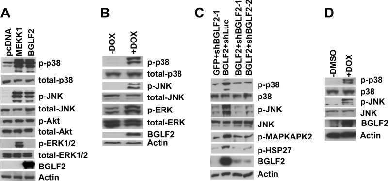 FIG 2