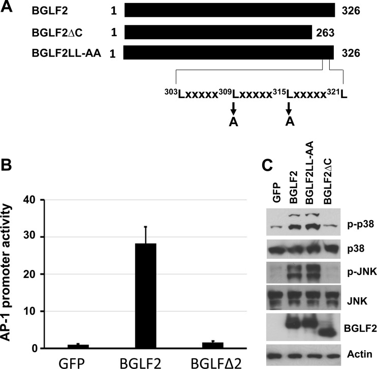 FIG 3