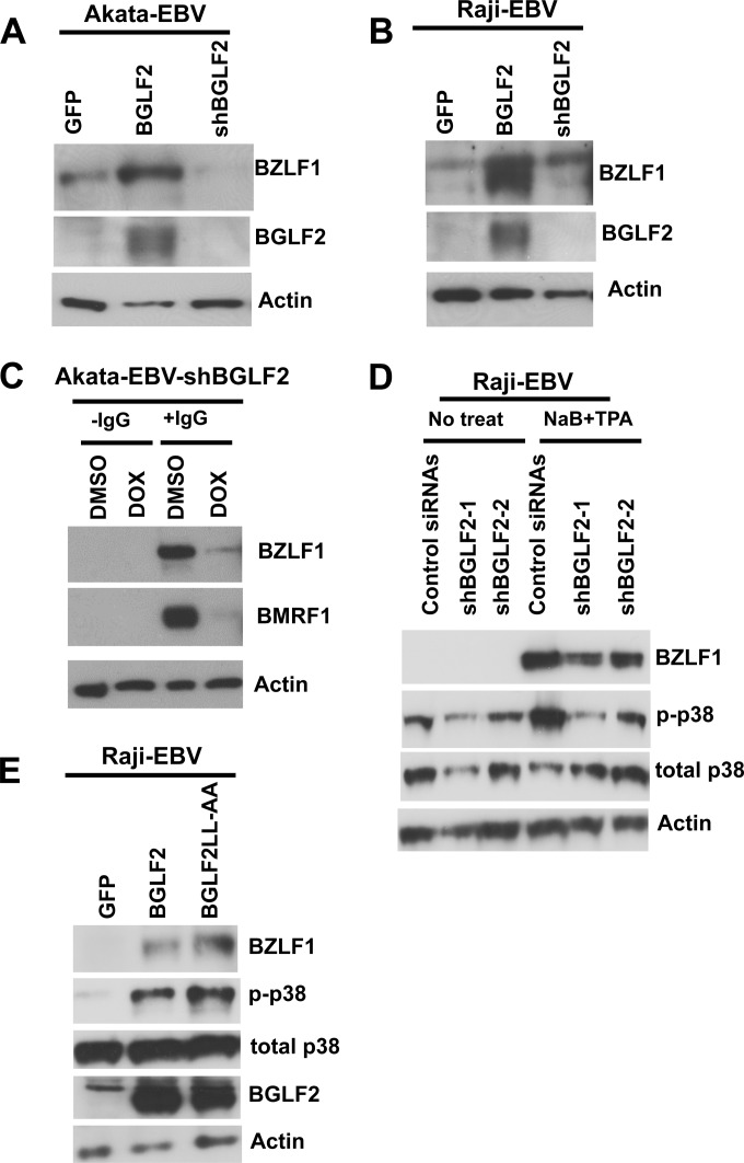 FIG 5