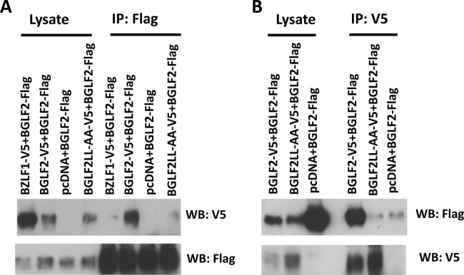 FIG 4