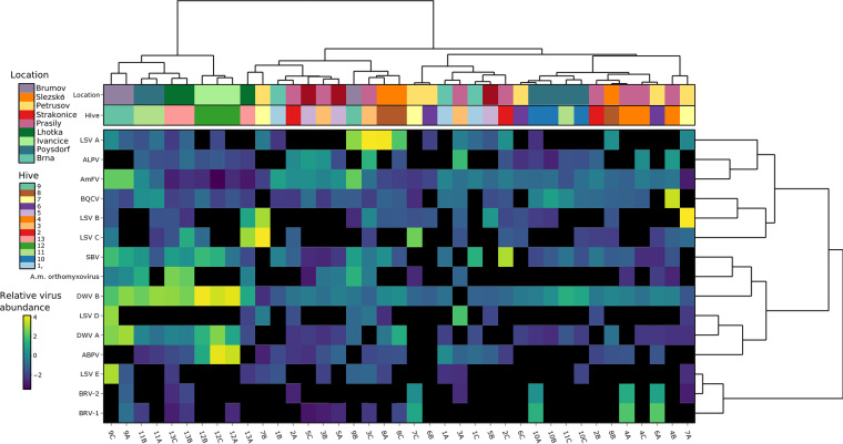 FIG 3