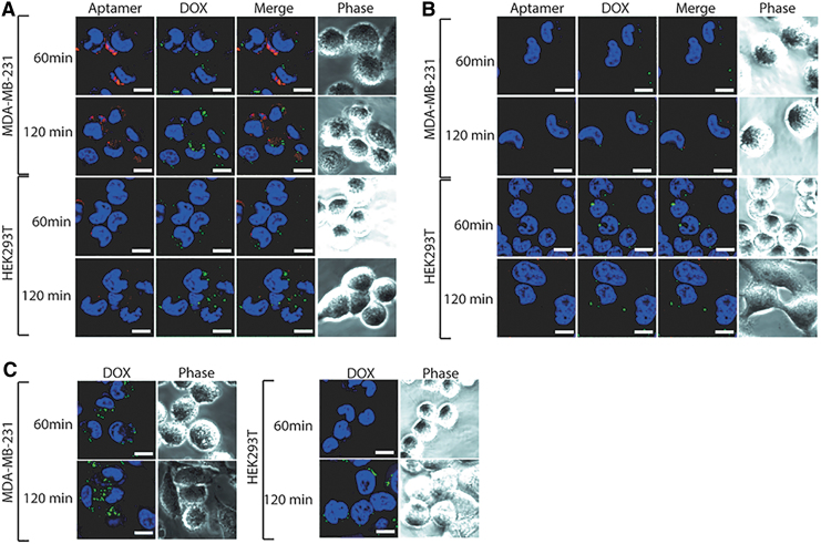 FIG. 4.