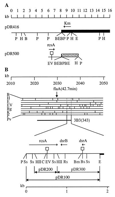 FIG. 1