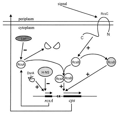 FIG. 4