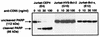FIG. 8