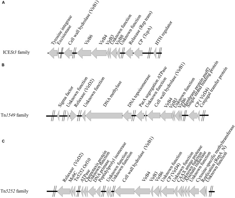 FIGURE 3