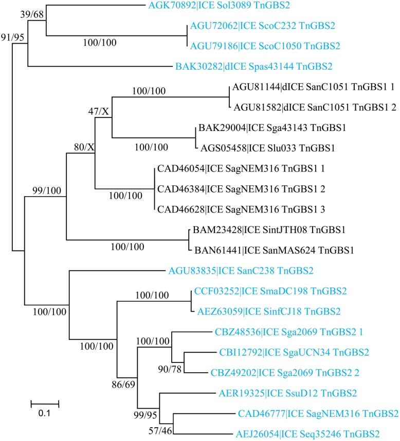 FIGURE 9