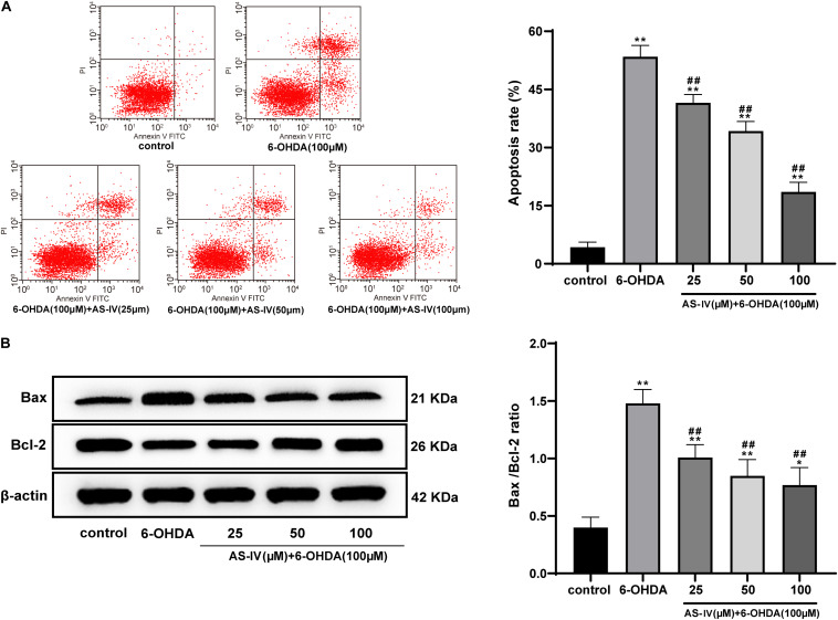 FIGURE 4