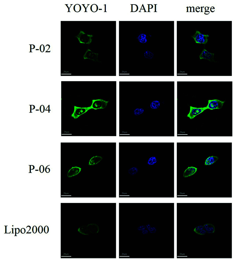 Fig. 7