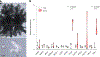 Fig. 6 |