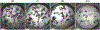 Fig. 2 |