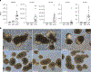 Fig. 3 |