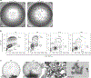 Fig. 9 |