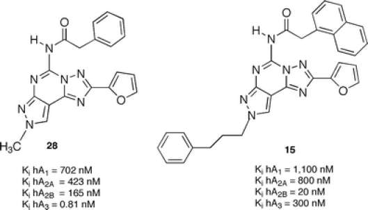 Figure 11