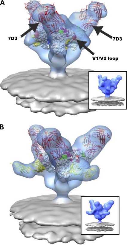 Fig. 5.