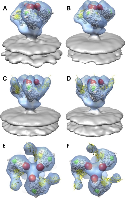 Fig. 3.